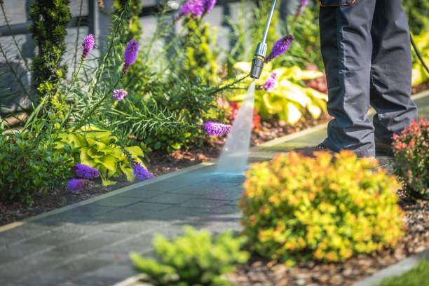 Best Gutter Cleaning and Brightening in Claryville, KY